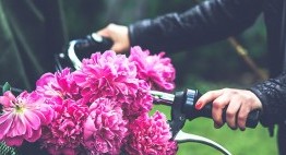 Как правильно преподнести цветы, или цветочный этикет