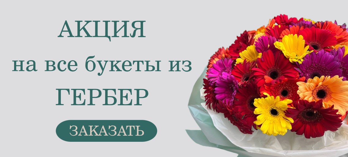 День Рождения