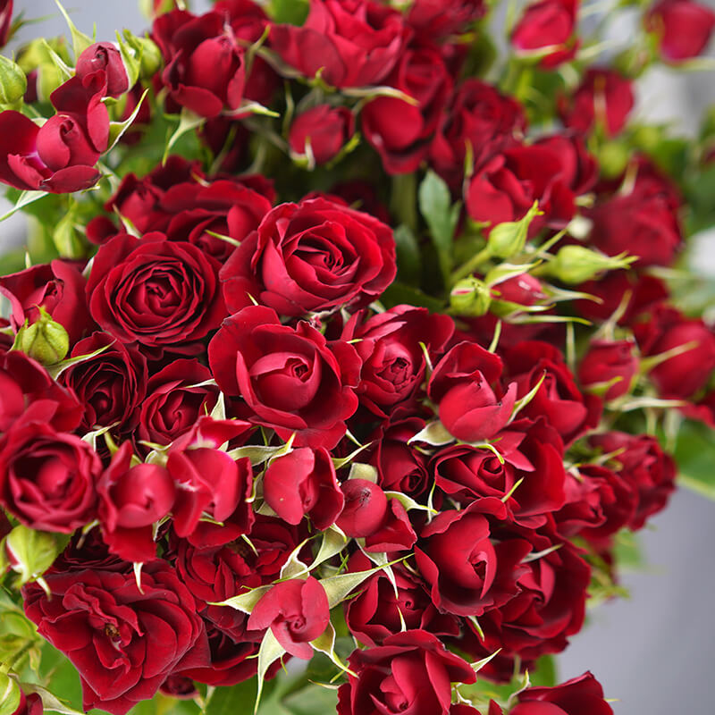 Букет из кустовых роз – интернет-магазин цветов Цветопторг, Челябинск